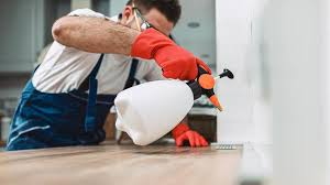 Best Commercial Pest Control  in Lexington, NE